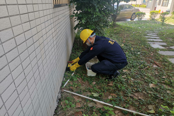 东莞黄江灭鼠公司-东莞黄江镇灭鼠除虫灭白蚁除白蚁杀臭虫红火蚂防治